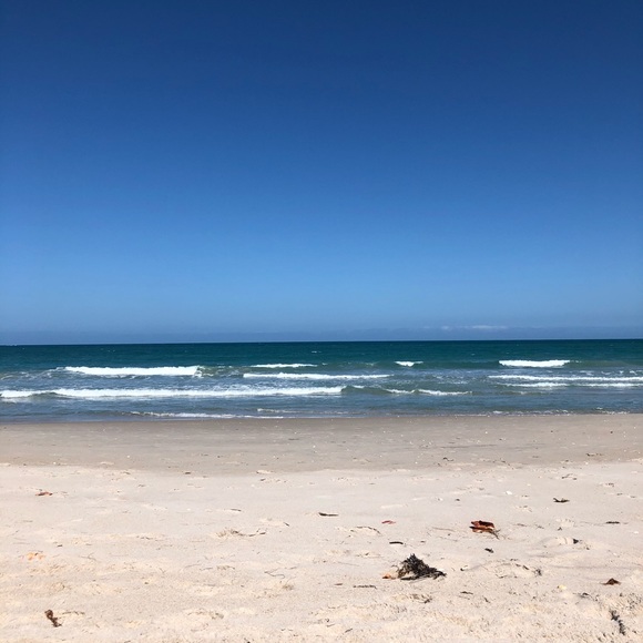 Meet your Posher, Carrie - Picture 11 of 15